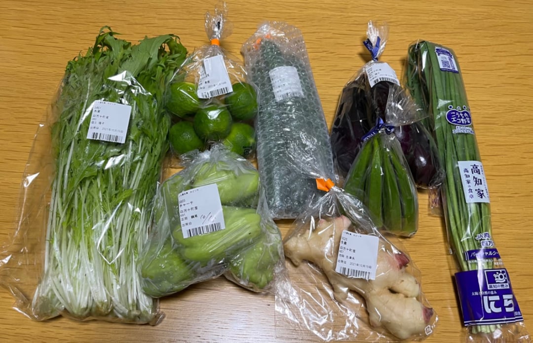 こんなの探してた！【少量多品種】四万十育ちの地採れ野菜セット Qjs-21 - 高知県四万十町｜ふるさとチョイス - ふるさと納税サイト