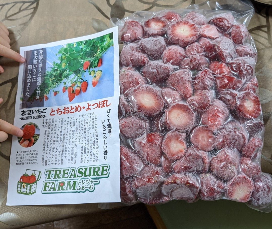 完熟 冷凍 志宝いちご 約1kg [モアショップヤマモト 石川県 宝達志水町