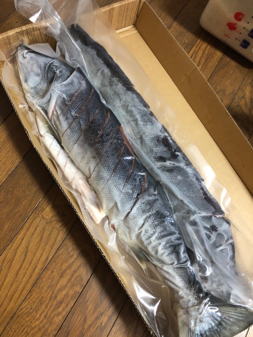 A4-025】北海道産新巻鮭（オス）切り身姿づくり 約2.3kg - 北海道北見市｜ふるさとチョイス - ふるさと納税サイト
