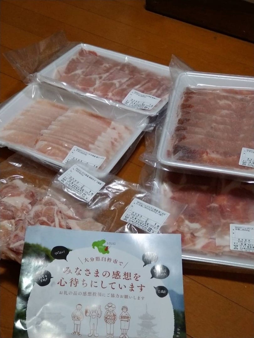 ふるさと納税 大分県産奥豊後豚細切れ1kg ロース500g バラ500g 大分県竹田市 安心の定価販売