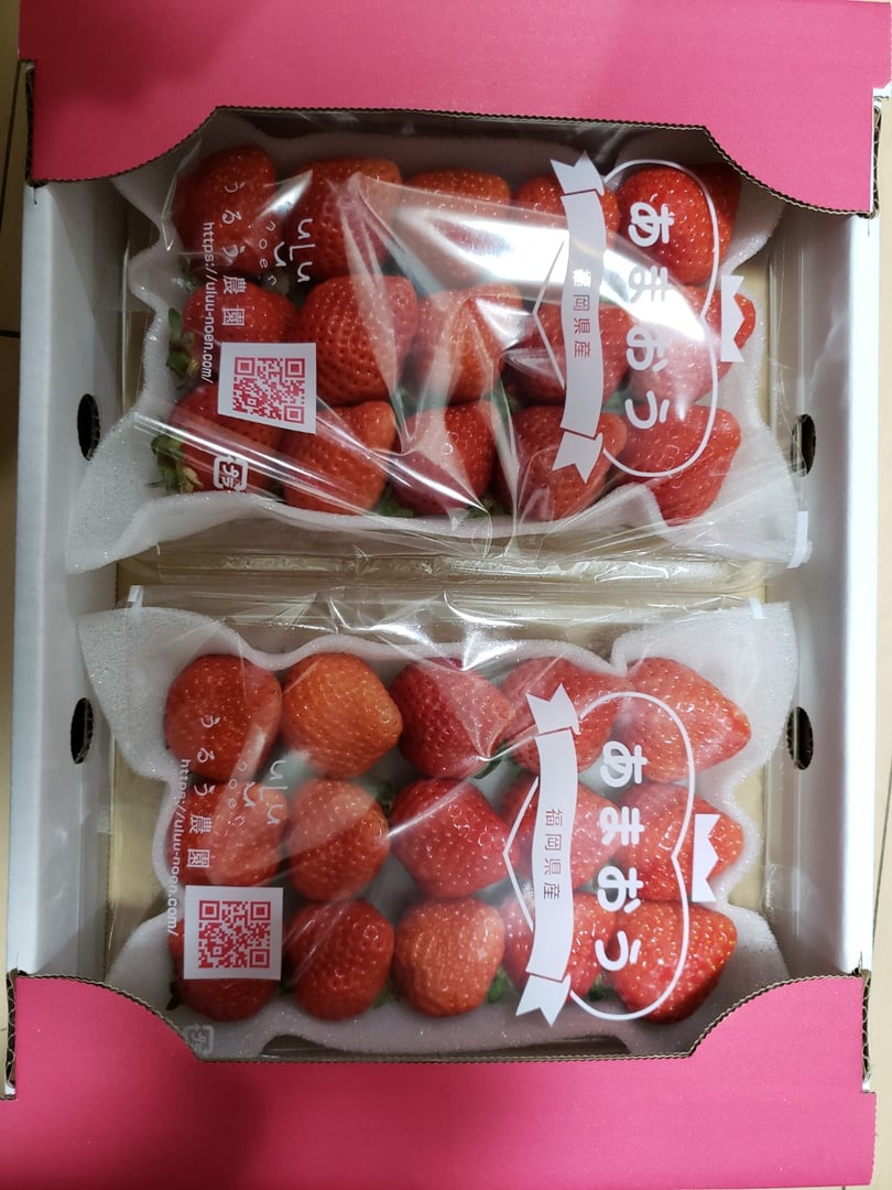 福岡産冷凍あまおう苺（いちご）1.5kg