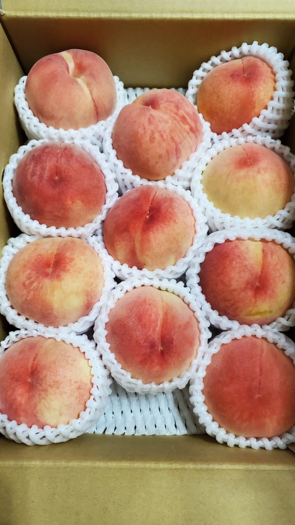 日本最大のブランド 福島県産 まどか12kg（4箱） 果物 | www.drminal.com
