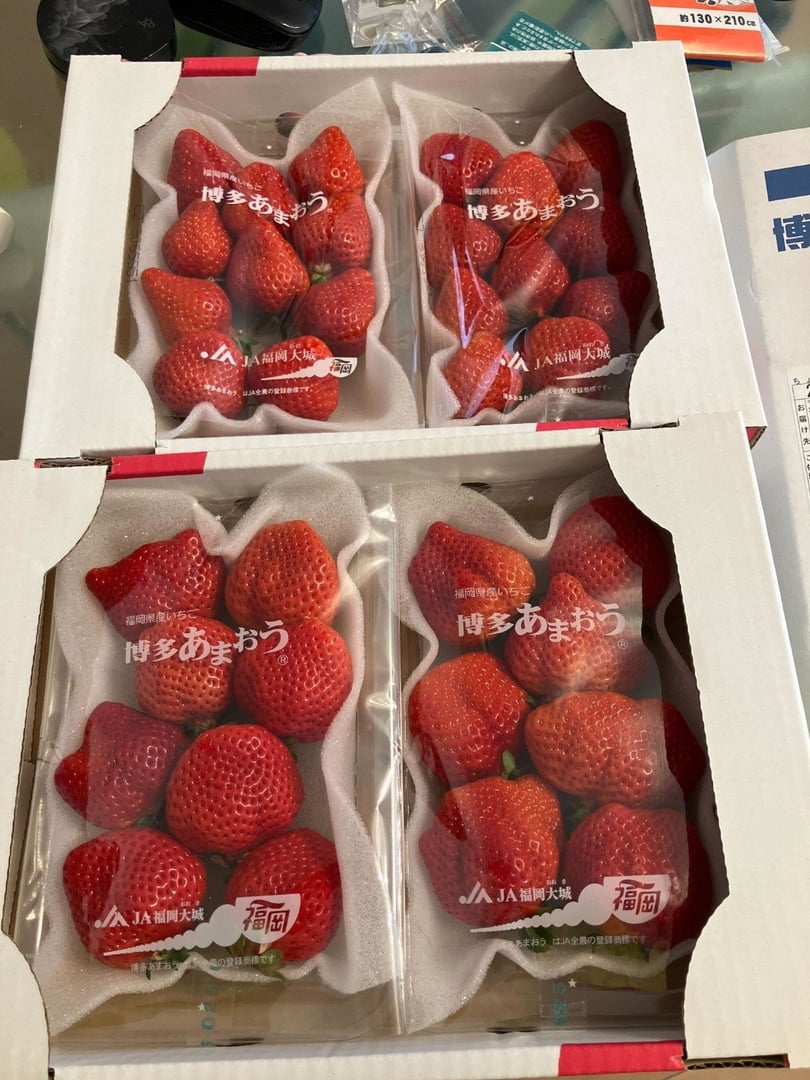 ふるさと納税 春日市 【春日】フルーツ専門店が選んだ「あまおう ふるさと納税 春日市 【春日】フルーツ専門店が選んだ「あまおう