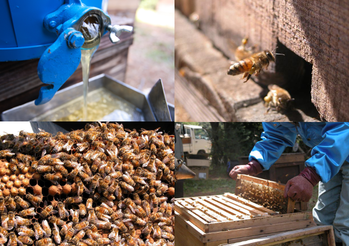 松治郎の舗 巣蜜340g【002113】