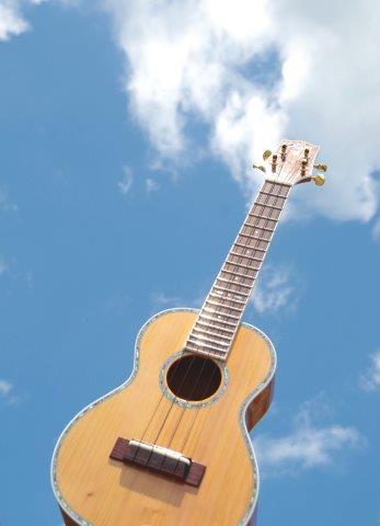 御山杉 ウクレレ 受注生産 限定 神韻の響きを貴方に。 ／ 世古林業 ふるさと納税 楽器 弦楽器 希少 神木 柾目 みやますぎ 天然木 三重県 度会町 伊勢志摩