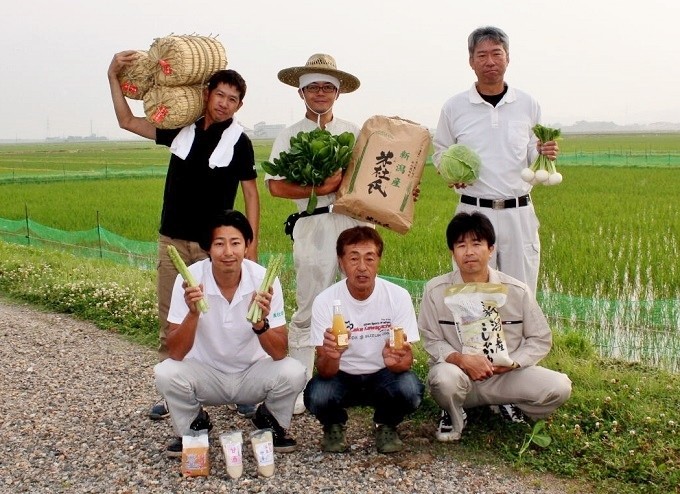 年3回 お届け 野菜 果物 旬 お楽しみセット 約10~13種類 通年受付 詰め合わせ ほうれん草 水菜 アスパラガス トマト オクラ ぶどう もも さといも オータムポエム りんご にんじん 大根 リーフレタス にんにく 新潟 新発田 野菜 セット 通年 季節 旬 お楽しみ C17_01 