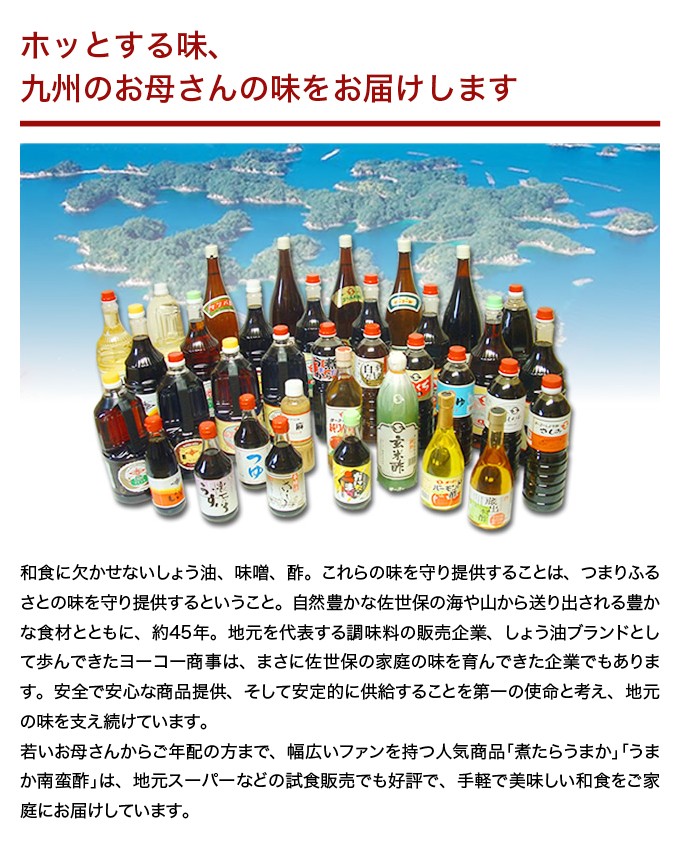 E222p ヨーコー調味料詰め合わせ