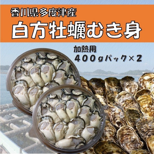 白方産　りょうせん牡蠣　むき身（加熱用）（予約受付中：旬にお届け！2026年3月頃から期間限定出荷！）【A-12】