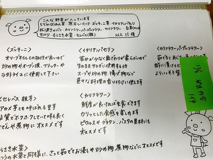 農業姉妹がこだわって栽培！旬の厳選野菜10種 半年定期便【024A-017】
