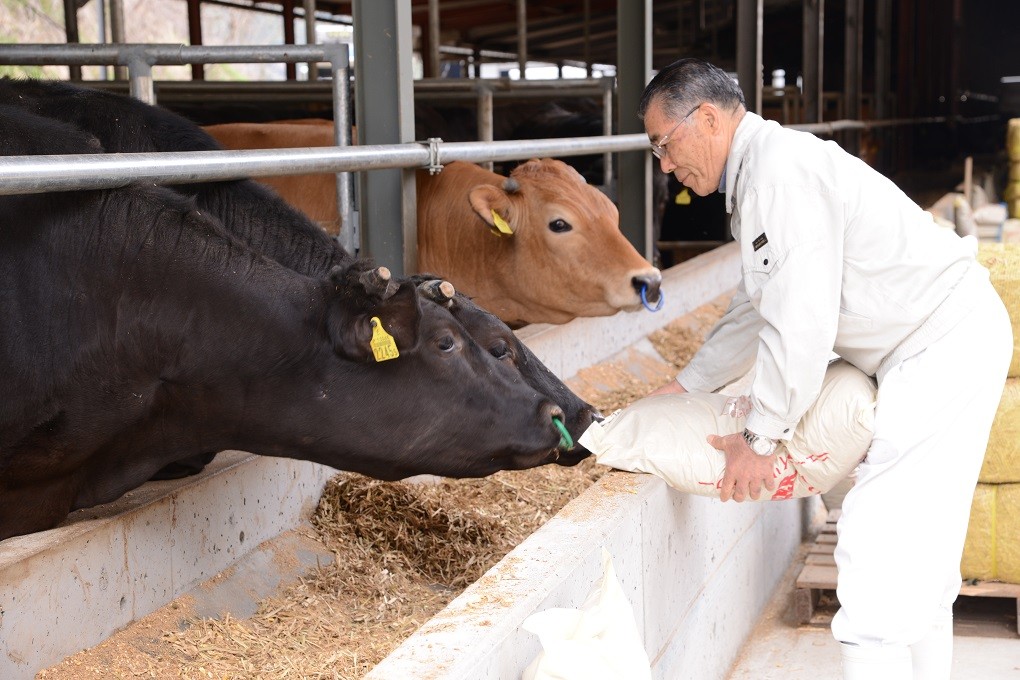 【4月配送】四万十麦酒牛 焼肉用(450g)厚切りセット Asz-04 モモ ウデ バラ肉 肩ロース 詰め合わせ 霜降り 赤身 麦酒牛 ビール牛 冷凍