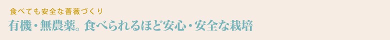 【芳醇な薫り高い奥出雲薔薇園の薔薇を使用したローズサイダーセット】（６本入り）【バラ サイダー 200ml 6本 薔薇 ローズ プレミアム スパークリング 微炭酸 美容 家庭用 贈答 ギフト 母の日】