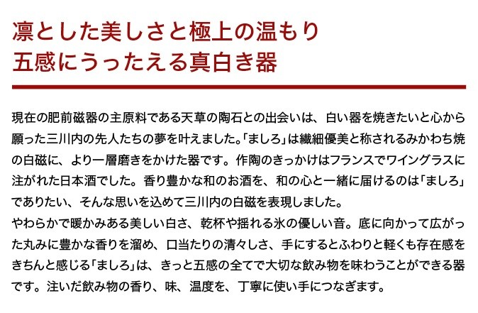 G251p 〈嘉泉窯〉ましろ剣00