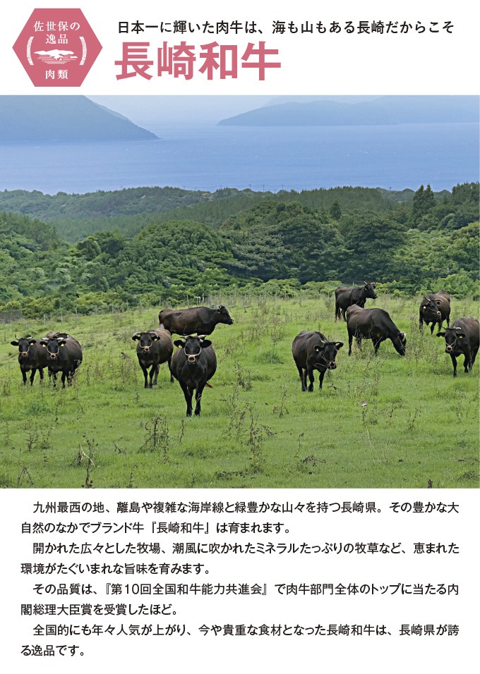 B345p 《定期便》長崎和牛ふるさと便(年6回お届け)