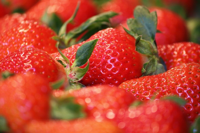 （全2回）佐川町産フルーツ 定期便 　いちご 梨