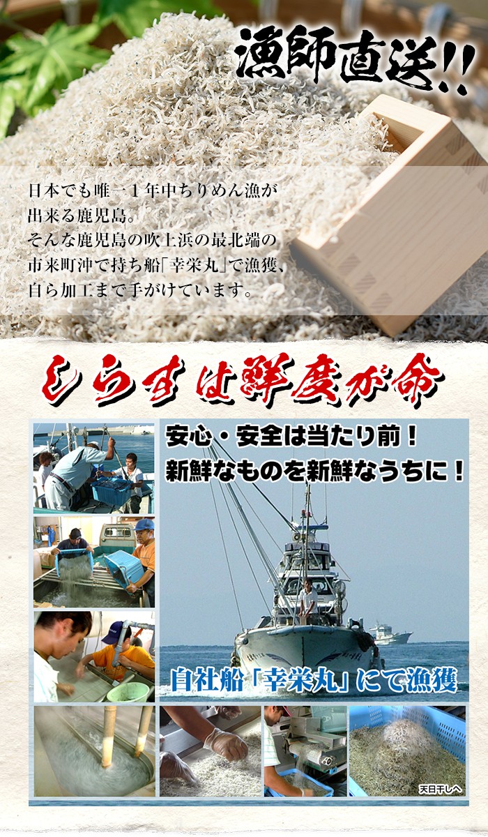 安心・安全!無添加!網元の天日干しちりめん 合計約400g(50g×8P)国産 串木野産 小分け の ちりめんじゃこ しらす おやつ ご飯のお供 ちりめんふりかけ ちりめん冷ややっこ ちりめんサラダ にもおすすめ!【A-1505H】
