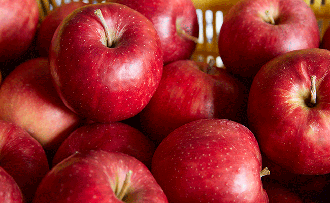 【先行予約】りんご ふじ 3kg 【 米崎りんご 数量限定 りんご リンゴ 林檎 旬 新鮮 産地直送 岩手 陸前高田 産地直送 新鮮 家庭用 】RT671