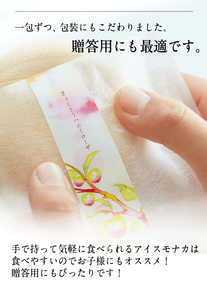 ぎょくとうアイスモナカセット★2種類8個入《60日以内に出荷予定(土日祝除く)》熊本県 玉東町 ぷらっとぎょくとう ハニーローザ モナカすもも 贈答 ギフト