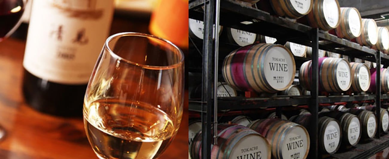 十勝ワイン 清見(キヨミ)1999 グレートビンテージ 720ml 北海道池田町 ビンテージ 赤ワイン 数量限定