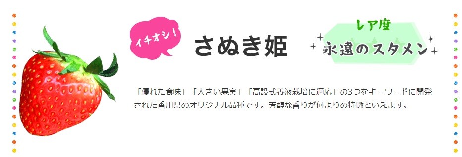 贈答用 完熟さぬき姫 約1.0kg | いちご 苺 さぬき姫 さぬきひめ 香川県オリジナル 希少 甘い 完熟 フルーツ 果物 旬 香川県 三木町 |_mk035-005