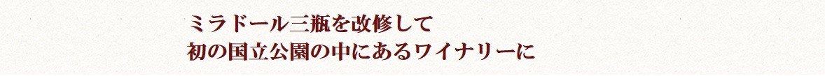 石見ワイナリースタッフ厳選「ワイン定期便」(6本)