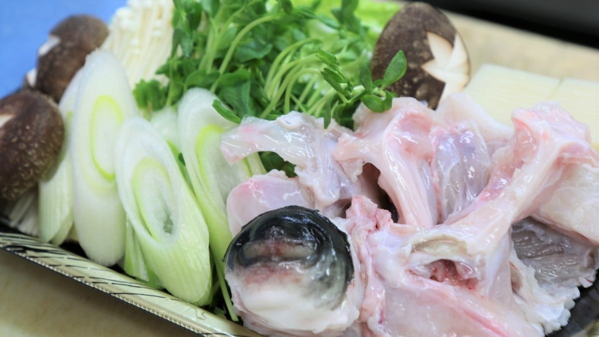 これぞ豊後水道の天然物！天然とらふぐ刺しふぐ鍋セット（3人前）［冷蔵］［天然とらふぐ1kg超え活魚使用］割烹みつご　