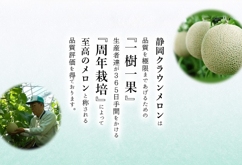 <毎月定期便>クラウンメロン(白等級) 1玉 全3回【4012621】