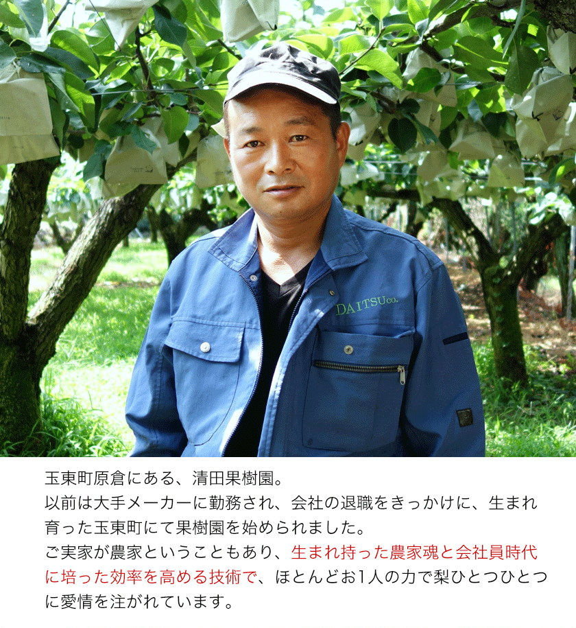 【日付指定不可】『清田果樹園』の原倉梨 約5kg 《9月上旬-10月上旬頃出荷》6-14玉前後 新高梨 新興梨 あきづき 豊水梨 熊本県玉名郡玉東町 梨【ふるさと納税】