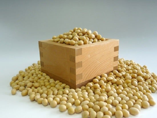 創業大正八年 余分なものは使わない 天然豆腐 濃い絹とうふ 10点セット|絹豆腐 天然 大豆 国産大豆 賞味期限 長い 手作り シンプル 健康 ダイエット おかず 味噌汁 冷奴 地元名物 サラダ ヘルシー ハンバーグ R6-40