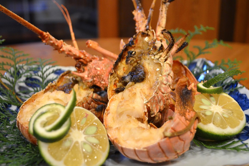 天然 伊勢海老 1.5kg（3～6尾） 新鮮 伊勢エビ 産地直送 エビ 海老 海鮮 魚介類 魚貝 えび お祝い ギフト 贈答用 贈り物 冷凍 高知 黒潮町 [1084-2]