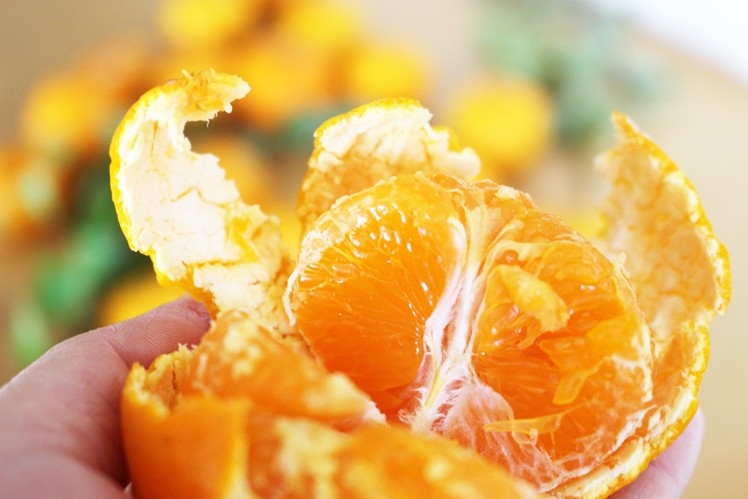 成田果樹園の温州みかん5kg