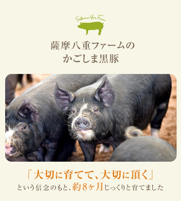 AS-2042 かごしま黒豚ロースの塩麹漬け5枚セット 薩摩八重ファーム 工房みかく亭