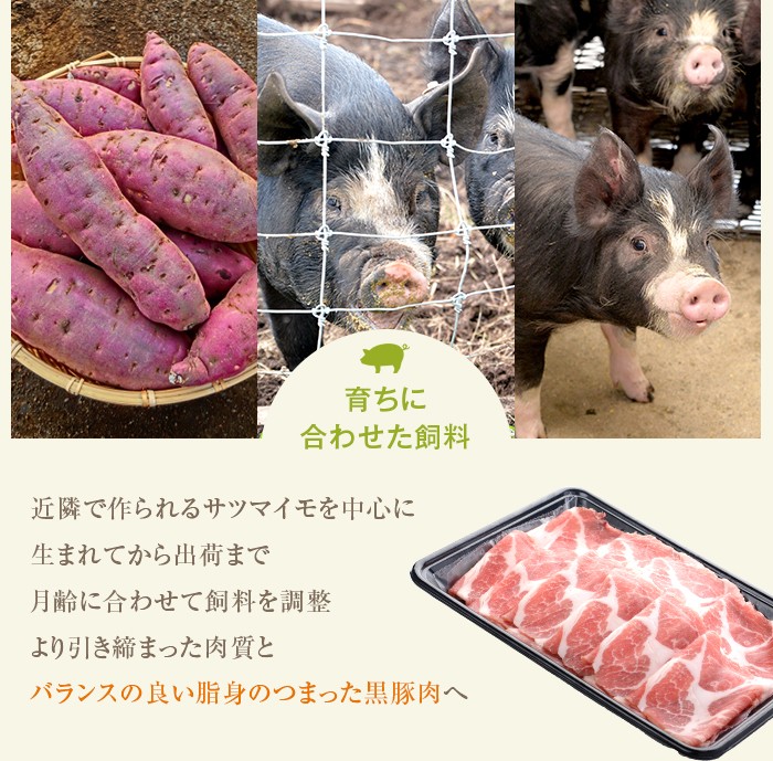 AS-2042 かごしま黒豚ロースの塩麹漬け5枚セット 薩摩八重ファーム 工房みかく亭