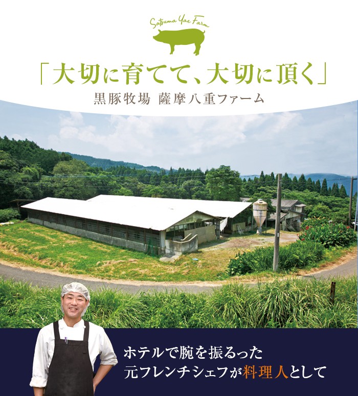 GS-005 【4ヶ月定期便】かごしま黒豚 ロース味噌漬け 8枚×4回お届け 薩摩八重ファーム みかく亭