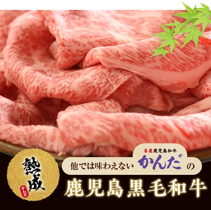 BS-347 鹿児島県産黒毛和牛しゃぶしゃぶ 500g Cセット
