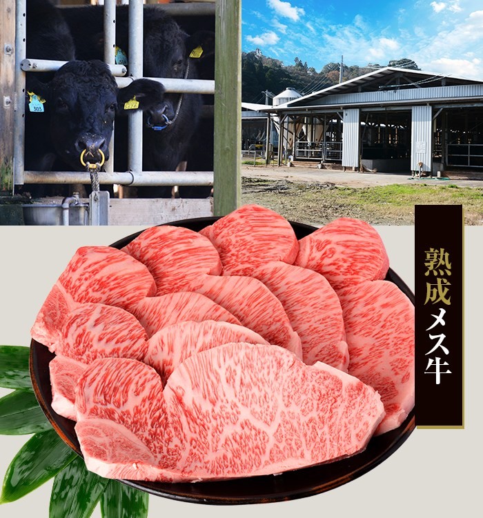 JS-804 鹿児島県産黒毛和牛サーロインステーキ・すき焼きAセット 名産鹿児島和牛かんだ本店