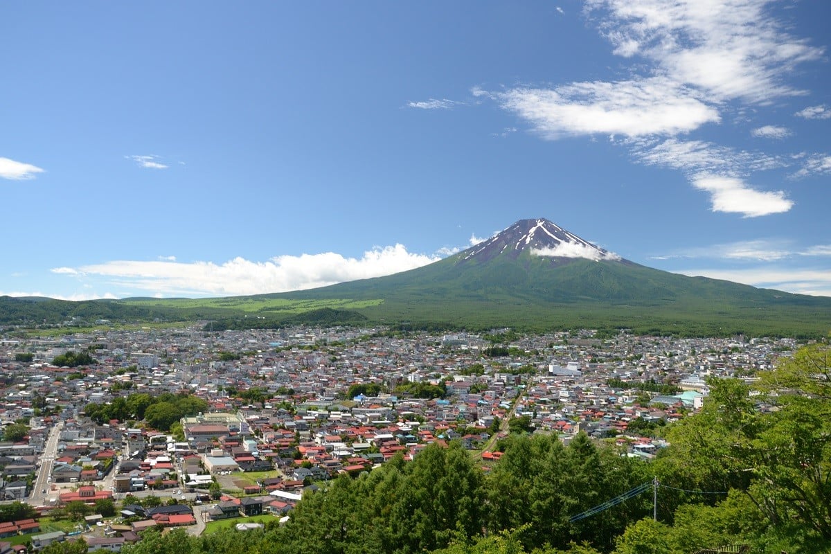 マルちゃん 吉田のうどんカップ麺 (12個入り) カップ麵 インスタント アウトドア 非常食 うどん セット 山梨 富士吉田