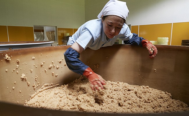 【100年老舗醸造店】 小島の味噌・麹なんばんセット 天然醸造 手作り製法 無添加 陸前高田市