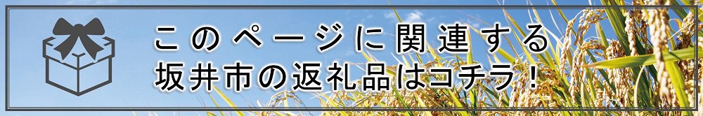 友吉製麺の越前そば(乾麺) 200g × 10袋 [A-4451]