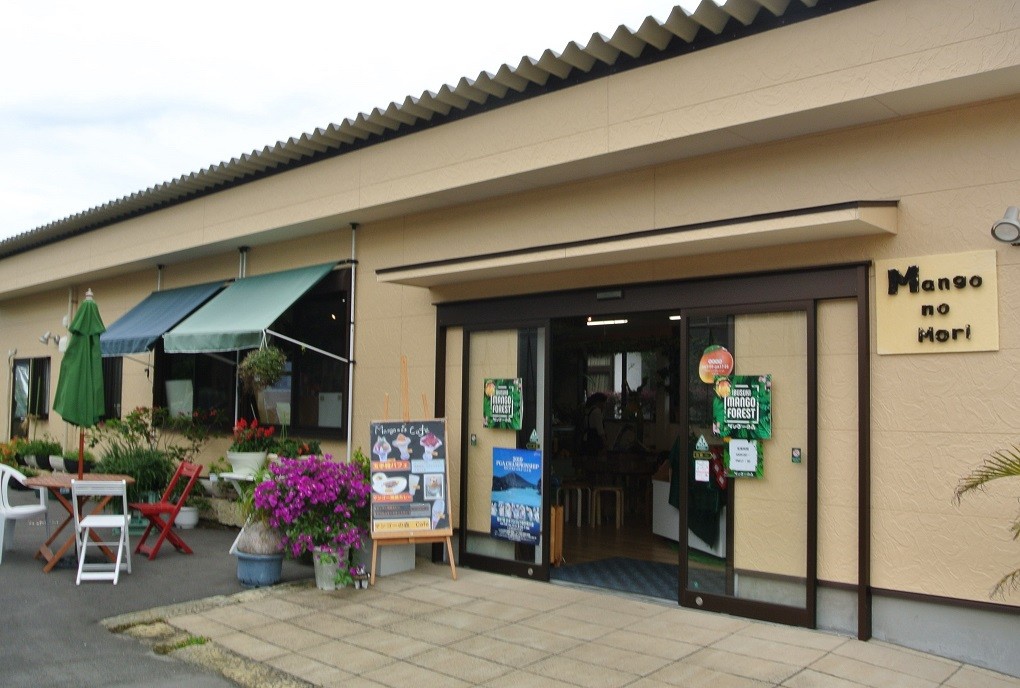 ゴロゴロ果肉入りプレミアムアイス6個セット(マンゴーの森/013-1212)