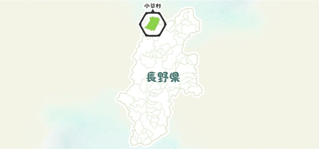 【令和7年度産】長野県小谷村百姓七人衆のあきたこまち【玄米】 10kg