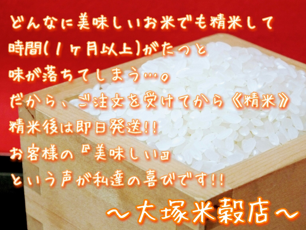 伊万里産 がばいＵ米(うまい) ブレンド米 【無洗米】10kg(5kg×2袋) お米マイスター厳選 086-B950