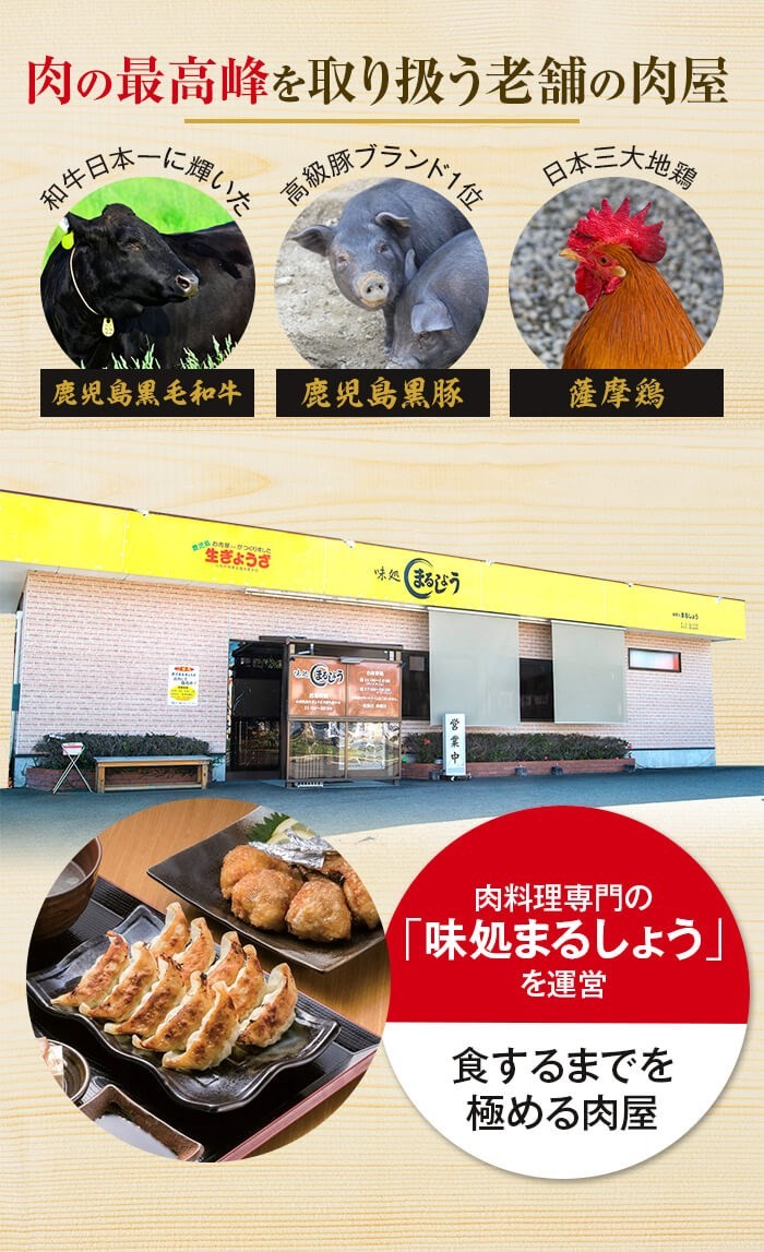 AS-713 鹿児島生 手羽ぎょうざ (20本) 餃子のタレ付き