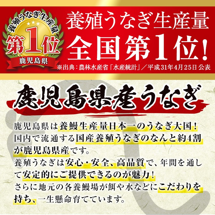No.310 鹿児島県産うなぎの炭火蒲焼(1尾・タレ付)と自慢の出汁巻き卵1本付! 国産 九州産 鰻 ウナギ うな重 うな丼 蒲焼 卵焼き 出汁巻き 出汁巻きたまご 炭火焼 おかず 特産品 お土産 セット冷凍【家むら】
