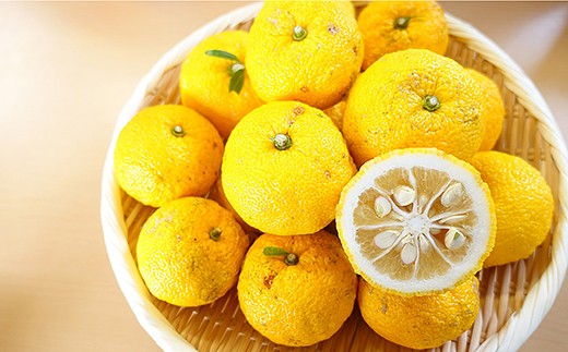 「しっとりなめらか肌」の酒かす入浴剤 大容量サイズ 1.5kg(30g × 50回分) Oem-16 疲労 回復 お風呂 日用品 バス用品 美肌 ゆず果汁 酒粕