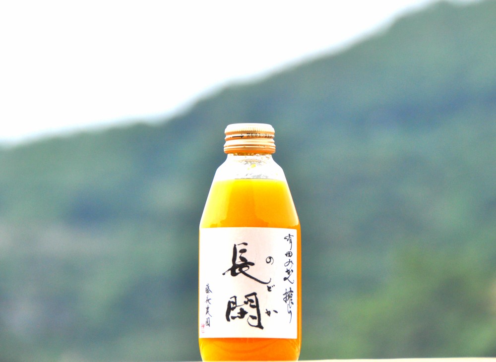 有田市認定みかんジュース「長閑(のどか)」200ml×12本(A308-1)