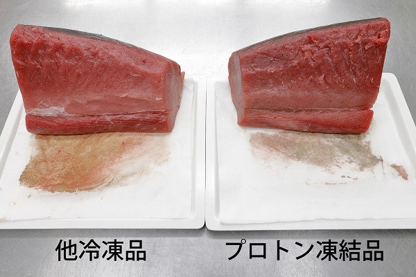 約500gもも肉すき焼き用　氷温（R）熟成　飛騨牛A5等級　　プロトン凍結 [No.521] ／ 牛肉 ブランド牛 モモ肉 すきやき 岐阜県 特産