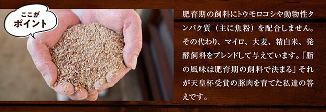 【冷蔵※令和8年5月発送分※】 あじ豚 焼肉セット (ロース＆モモ) 【 肉 豚 豚肉 ロース モモ 焼肉 バーベキュー BBQ タレ 宮崎県産 川南町産 】