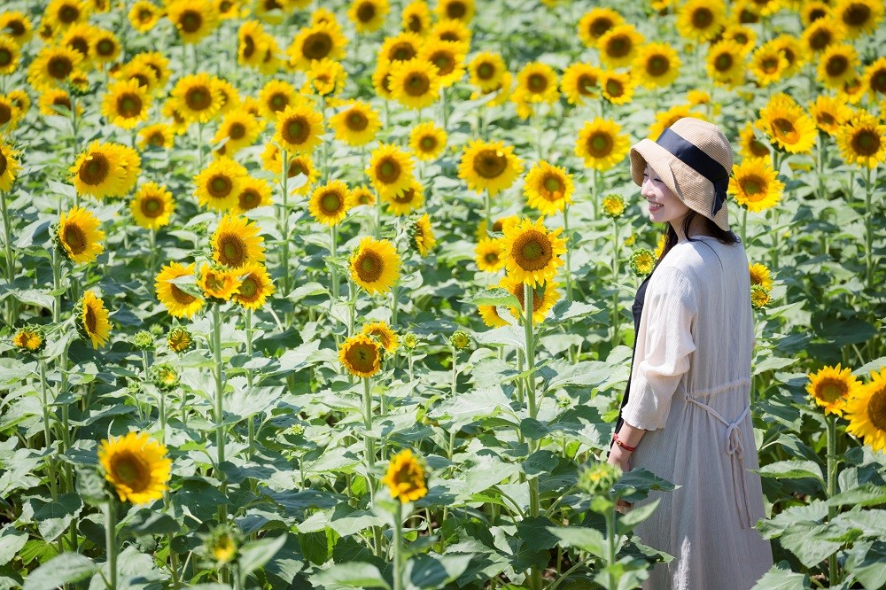 【和牛サーロインステーキ】 おおいた和牛サーロインステーキ(200g×2枚) | 和牛サーロイン さーろいんすてーき 和牛ステーキサーロイン 黒毛和牛ステーキ 和牛 牛肉 おおいた和牛 ステーキ サーロイン ステーキ A4 A5 豊後高田市