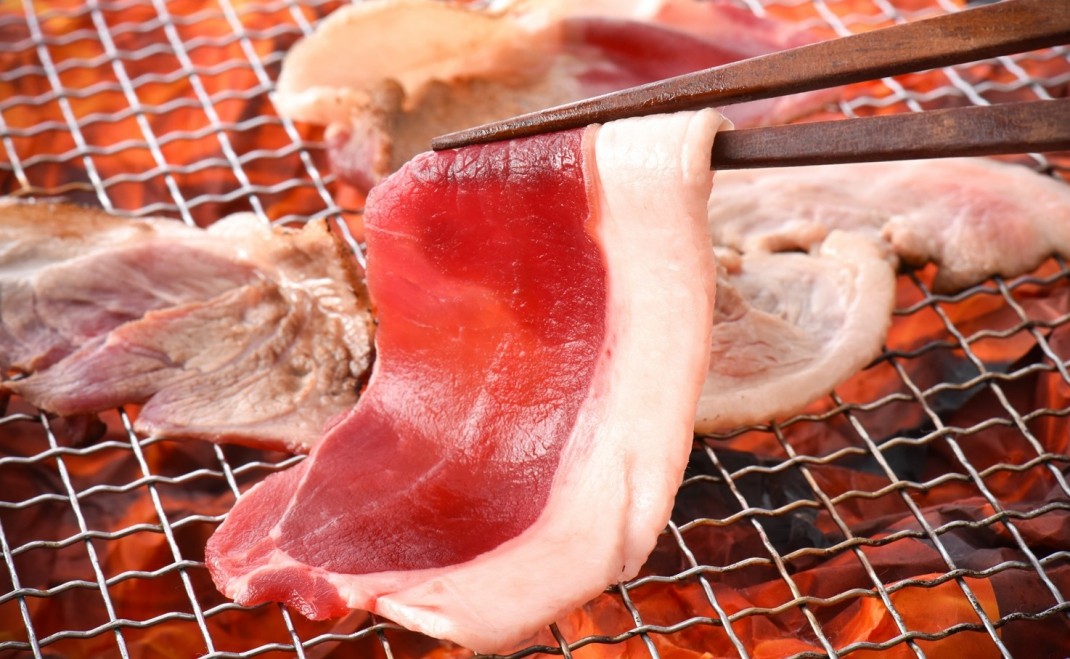 数量限定 ジビエ 猪 しし肉 スライス 750g ジビエグルメ賞 特別賞 受賞 第3回 日本猪祭り in 東京 準グランプリ 受賞 ジビエ 猪肉 いのしし肉 イノシシ 猪 ぼたん肉 イノシシ肉 薄切り 薄切り肉 能登ジビエ イノシシ 天然肉 のとしし ジビエ料理 焼肉 肉料理 BBQ 石川県 能登 羽咋 災害支援 復興支援 地域支援 地域応援