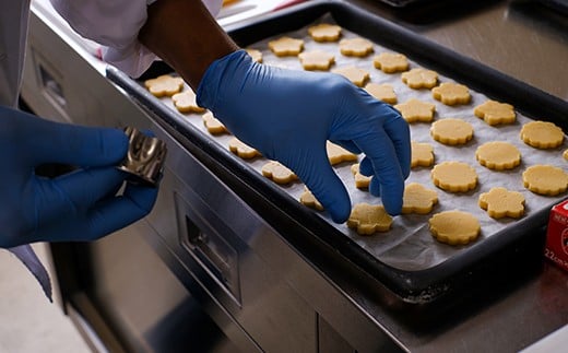 焼き菓子 手作りおやつ お菓子 「IRODORI『彩』」スイーツセレクション 広島県福山市/一般社団法人トータルライフサポートふくやま 焼き菓子 焼菓子 クッキー 詰め合わせ 詰合せ セット ふるさと納税 スイーツ 洋菓子 詰合せ ハンドメイド 手作り 支援 送料無料 人気 おすすめ 広島県 福山市 ギフト 人気 おすすめ 広島県 福山市 ふるさと納税 送料無料 [BABK006]